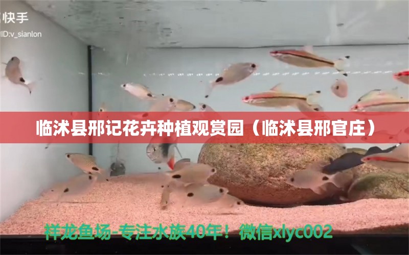 临沭县邢记花卉种植观赏园（临沭县邢官庄） 全国水族馆企业名录