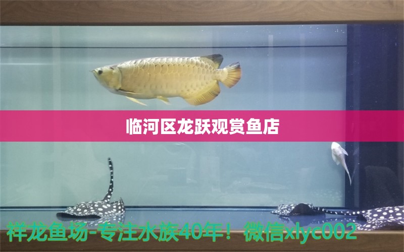 临河区龙跃观赏鱼店 全国水族馆企业名录