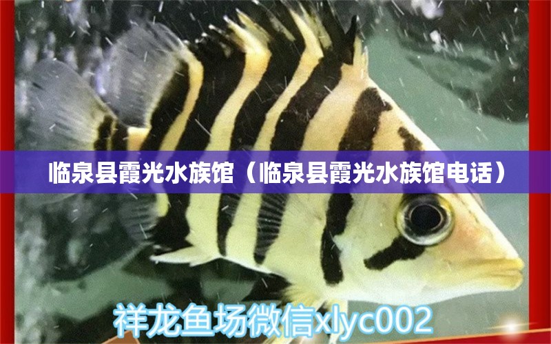 临泉县霞光水族馆（临泉县霞光水族馆电话） 全国水族馆企业名录