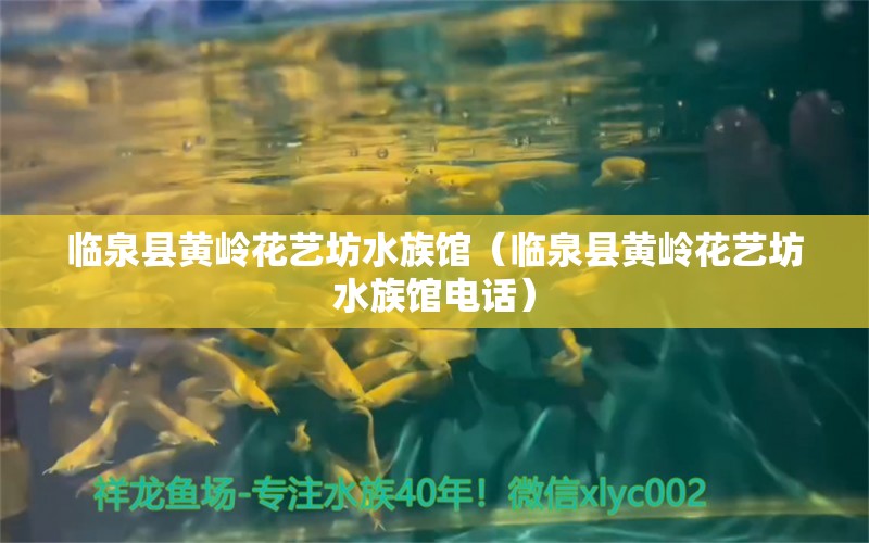 临泉县黄岭花艺坊水族馆（临泉县黄岭花艺坊水族馆电话） 全国水族馆企业名录