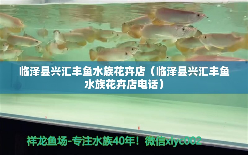 临泽县兴汇丰鱼水族花卉店（临泽县兴汇丰鱼水族花卉店电话）