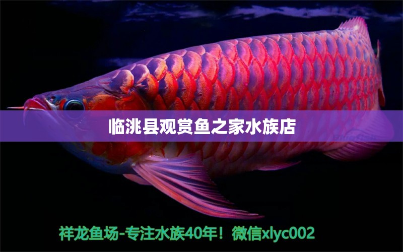 临洮县观赏鱼之家水族店 全国水族馆企业名录