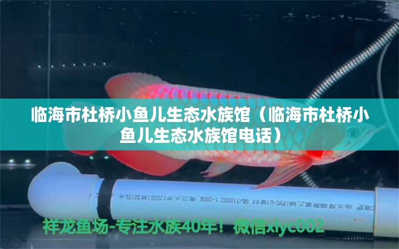 临海市杜桥小鱼儿生态水族馆（临海市杜桥小鱼儿生态水族馆电话）