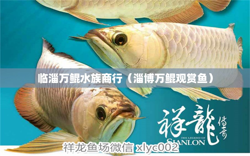 临淄万鲲水族商行（淄博万鲲观赏鱼）