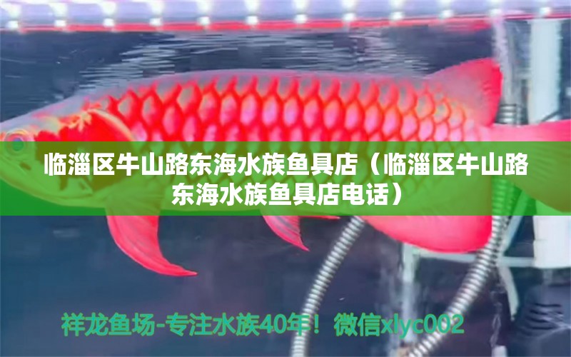 临淄区牛山路东海水族鱼具店（临淄区牛山路东海水族鱼具店电话）