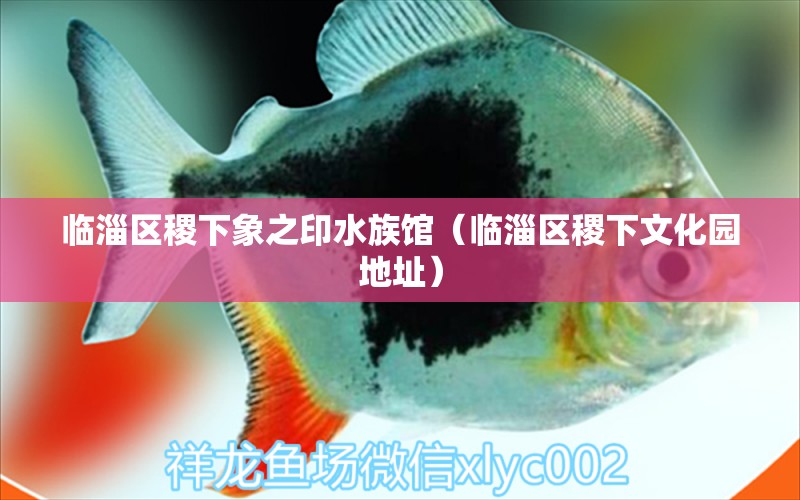 临淄区稷下象之印水族馆（临淄区稷下文化园地址）