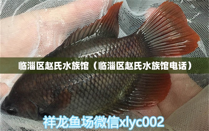 临淄区赵氏水族馆（临淄区赵氏水族馆电话） 全国水族馆企业名录