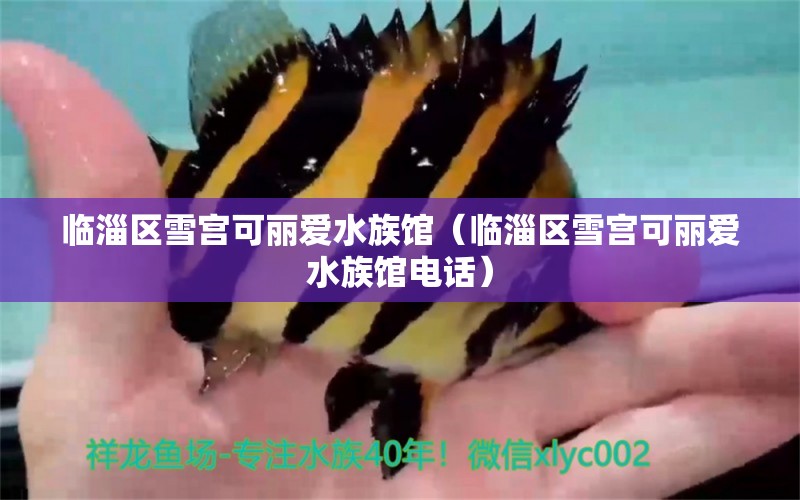 临淄区雪宫可丽爱水族馆（临淄区雪宫可丽爱水族馆电话）