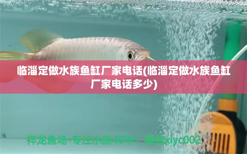 临淄定做水族鱼缸厂家电话(临淄定做水族鱼缸厂家电话多少) 九鼎鱼缸