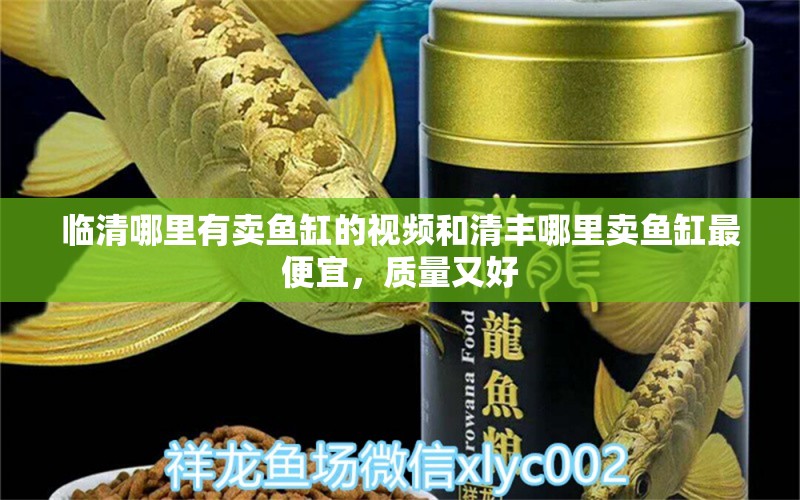 临清哪里有卖鱼缸的视频和清丰哪里卖鱼缸最便宜，质量又好