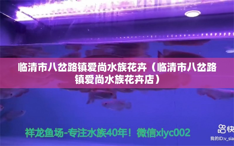 临清市八岔路镇爱尚水族花卉（临清市八岔路镇爱尚水族花卉店）