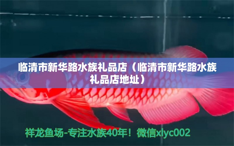 临清市新华路水族礼品店（临清市新华路水族礼品店地址）