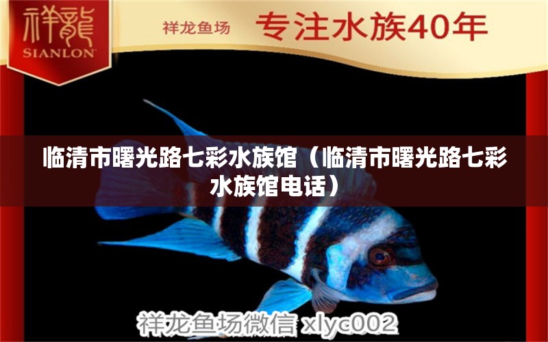 临清市曙光路七彩水族馆（临清市曙光路七彩水族馆电话）