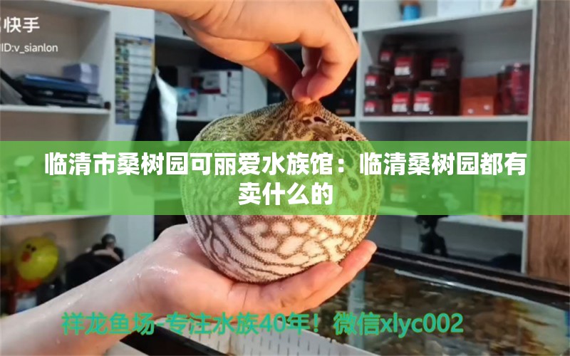 临清市桑树园可丽爱水族馆：临清桑树园都有卖什么的