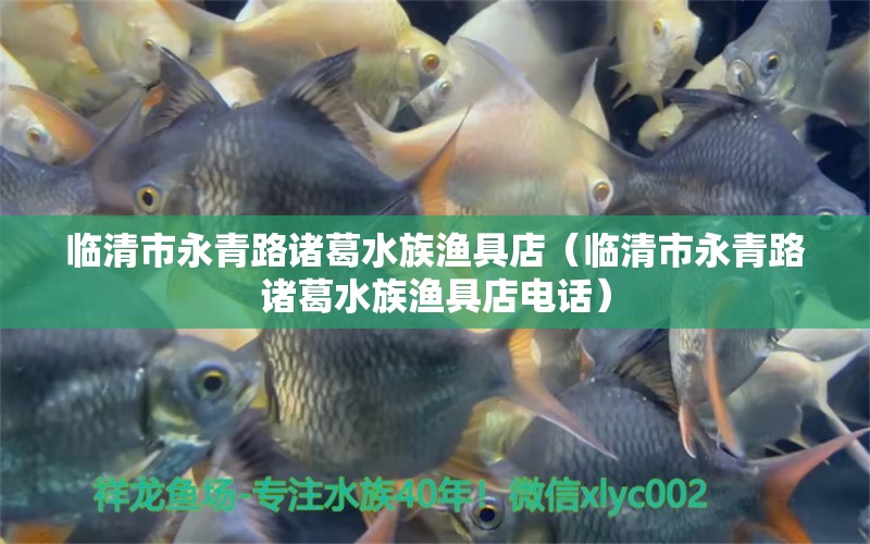 临清市永青路诸葛水族渔具店（临清市永青路诸葛水族渔具店电话） 全国水族馆企业名录