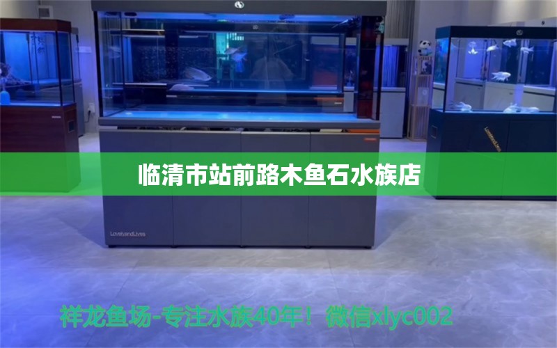 临清市站前路木鱼石水族店 全国水族馆企业名录 第1张