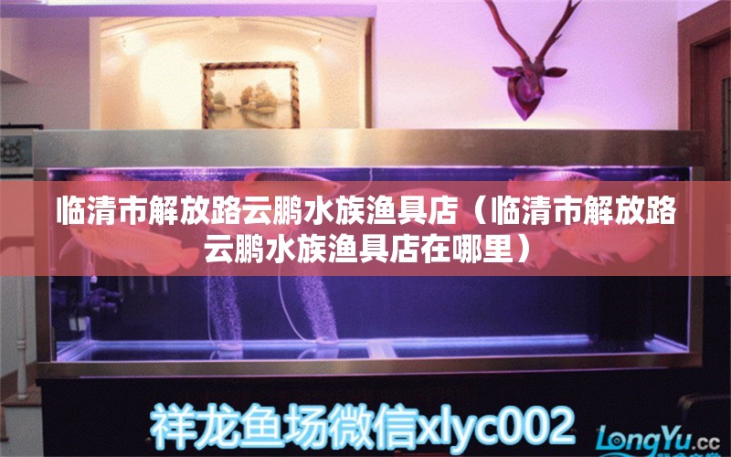 临清市解放路云鹏水族渔具店（临清市解放路云鹏水族渔具店在哪里） 全国水族馆企业名录