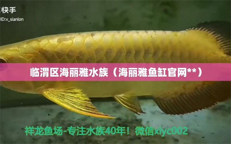 临渭区海丽雅水族（海丽雅鱼缸官网**） 全国水族馆企业名录