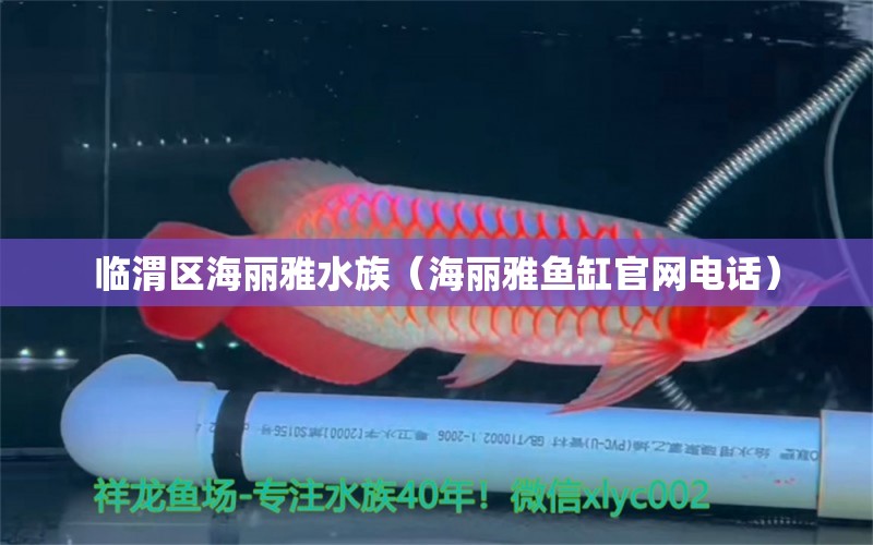 临渭区海丽雅水族（海丽雅鱼缸官网电话） 全国水族馆企业名录