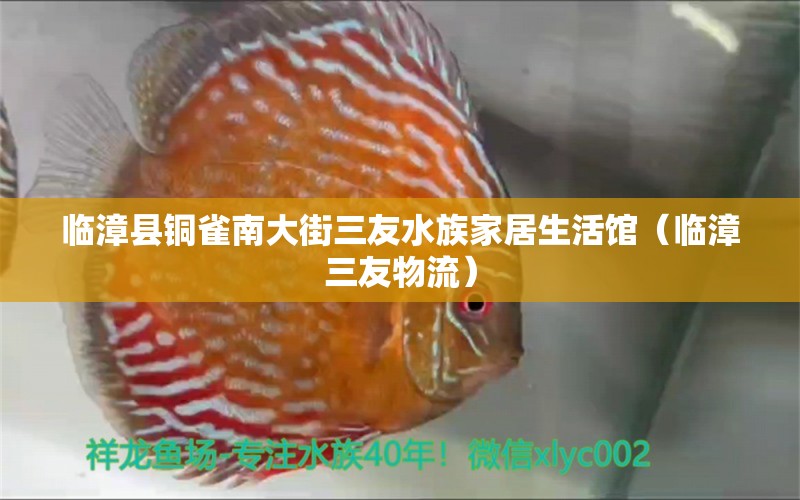 临漳县铜雀南大街三友水族家居生活馆（临漳三友物流） 全国水族馆企业名录