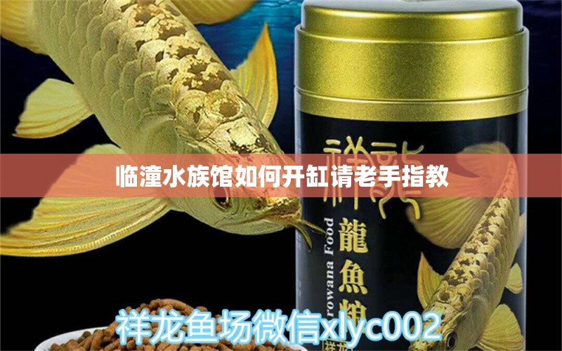 临潼水族馆如何开缸请老手指教