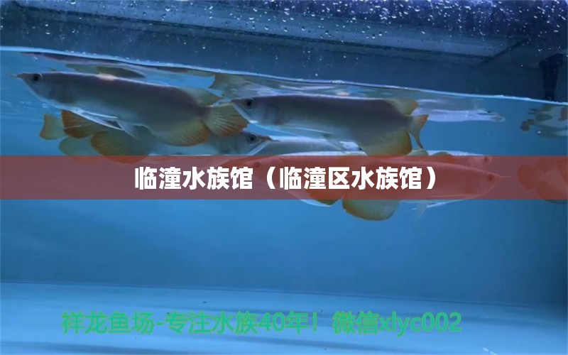 临潼水族馆（临潼区水族馆）