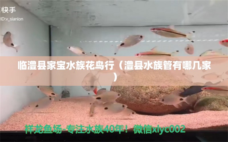 临澧县家宝水族花鸟行（澧县水族管有哪几家） 全国水族馆企业名录