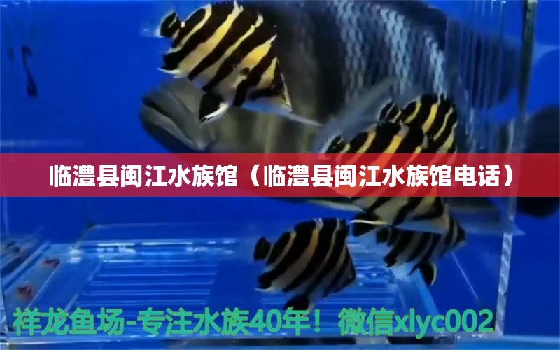 临澧县闽江水族馆（临澧县闽江水族馆电话） 全国水族馆企业名录