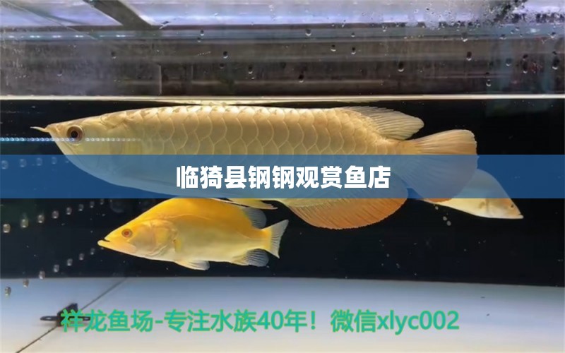 临猗县钢钢观赏鱼店 全国水族馆企业名录