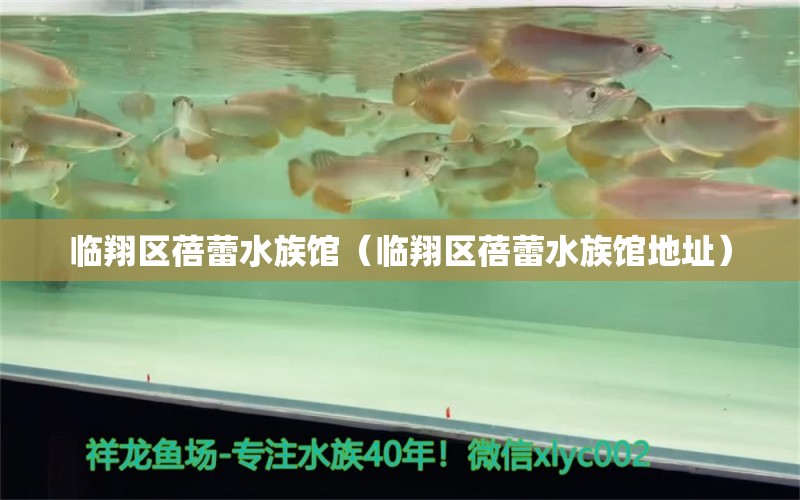 临翔区蓓蕾水族馆（临翔区蓓蕾水族馆地址） 全国水族馆企业名录