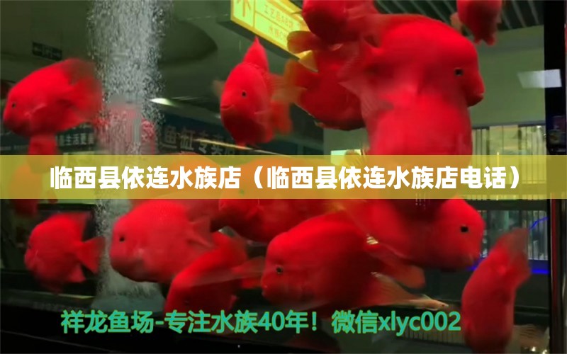 临西县依连水族店（临西县依连水族店电话） 全国水族馆企业名录