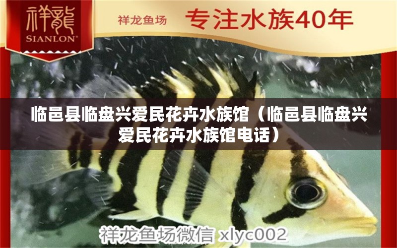 临邑县临盘兴爱民花卉水族馆（临邑县临盘兴爱民花卉水族馆电话） 全国水族馆企业名录