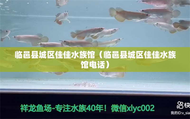 临邑县城区佳佳水族馆（临邑县城区佳佳水族馆电话）