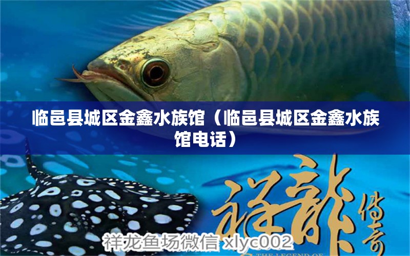 临邑县城区金鑫水族馆（临邑县城区金鑫水族馆电话）