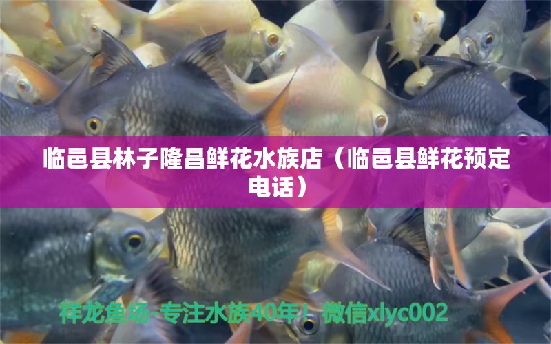 临邑县林子隆昌鲜花水族店（临邑县鲜花预定电话） 全国水族馆企业名录