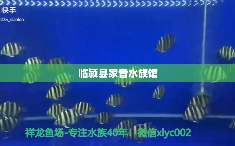 临颍县家音水族馆 全国水族馆企业名录