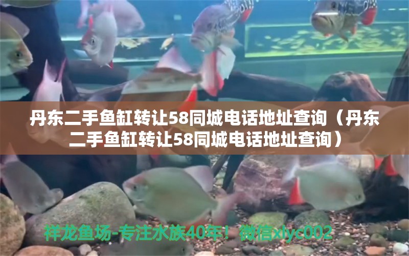 丹东二手鱼缸转让58同城电话地址查询（丹东二手鱼缸转让58同城电话地址查询） 祥龙鱼场