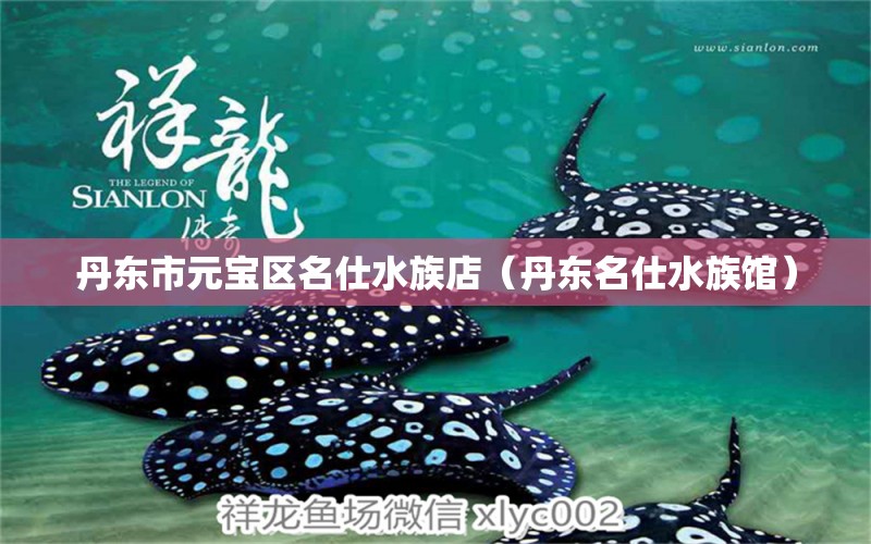 丹东市元宝区名仕水族店（丹东名仕水族馆）