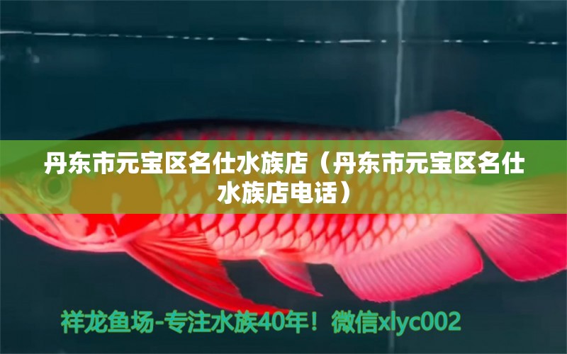 丹东市元宝区名仕水族店（丹东市元宝区名仕水族店电话） 全国水族馆企业名录