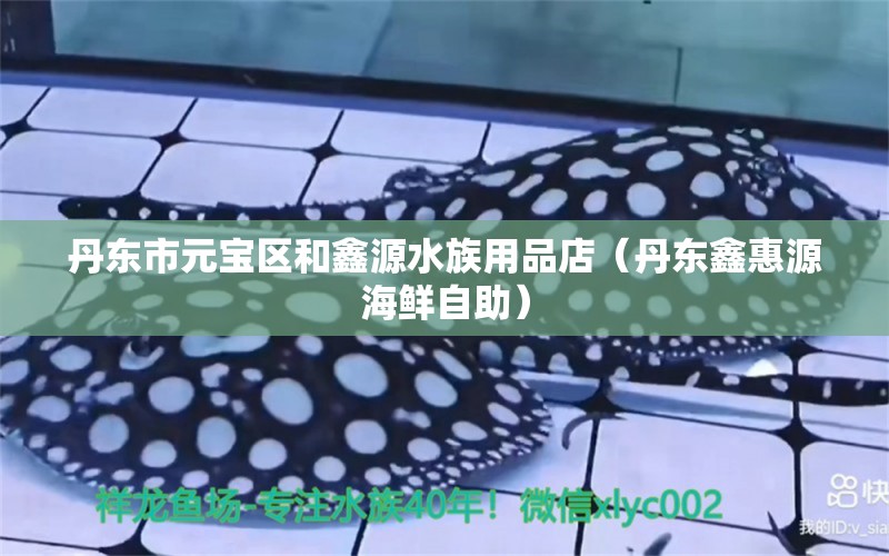 丹东市元宝区和鑫源水族用品店（丹东鑫惠源海鲜自助）