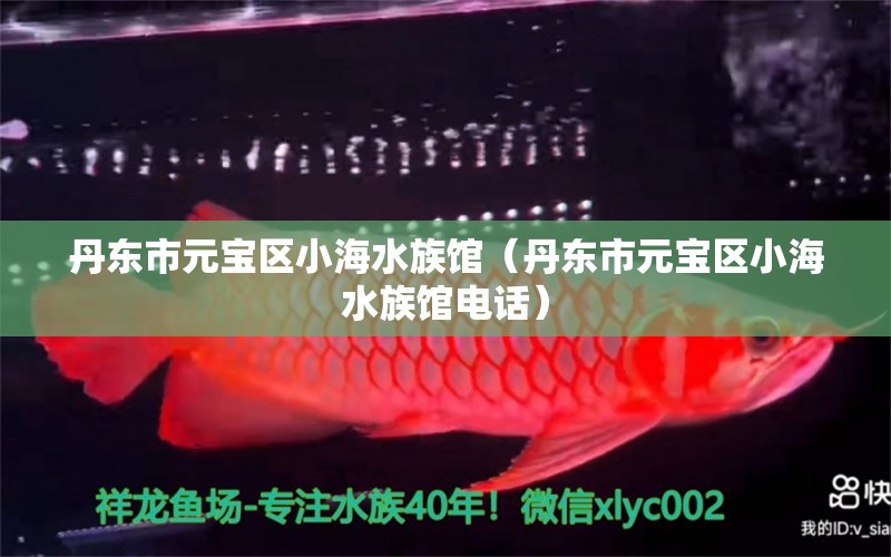 丹东市元宝区小海水族馆（丹东市元宝区小海水族馆电话） 全国水族馆企业名录