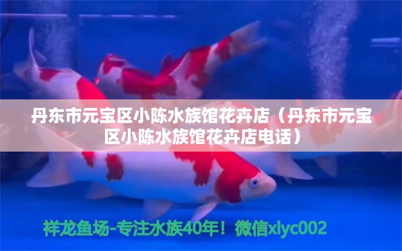 丹东市元宝区小陈水族馆花卉店（丹东市元宝区小陈水族馆花卉店电话） 全国水族馆企业名录