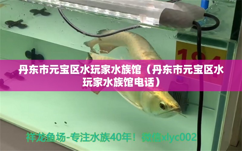 丹东市元宝区水玩家水族馆（丹东市元宝区水玩家水族馆电话）