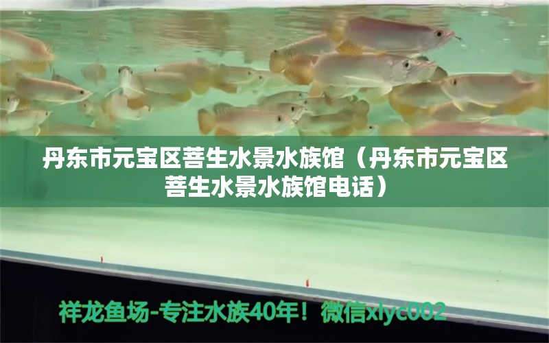 丹东市元宝区菩生水景水族馆（丹东市元宝区菩生水景水族馆电话）