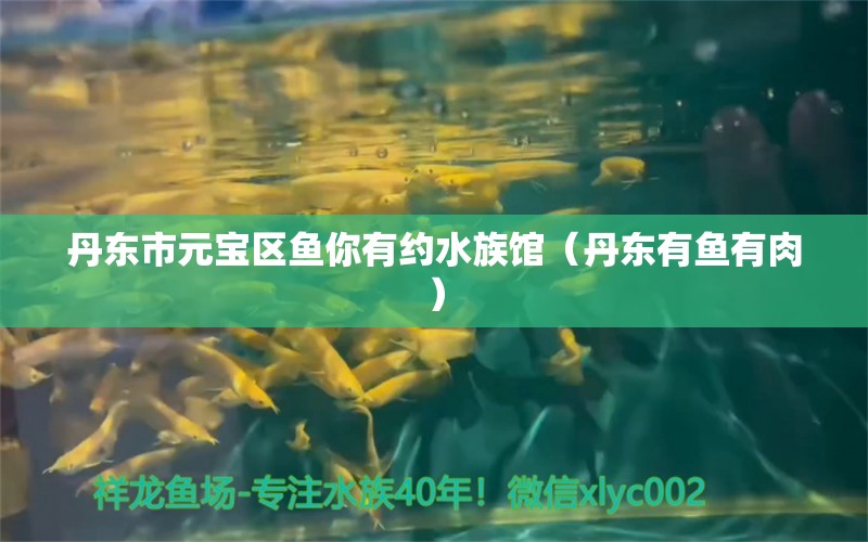 丹东市元宝区鱼你有约水族馆（丹东有鱼有肉）