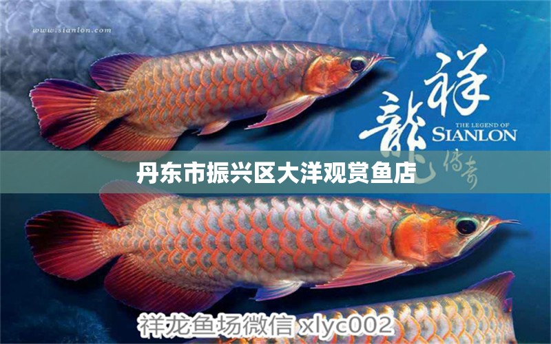 丹东市振兴区大洋观赏鱼店 全国水族馆企业名录