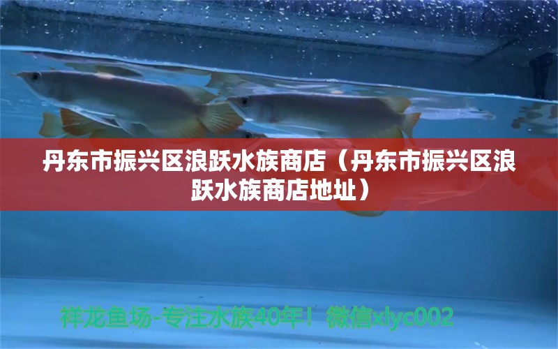 丹东市振兴区浪跃水族商店（丹东市振兴区浪跃水族商店地址）