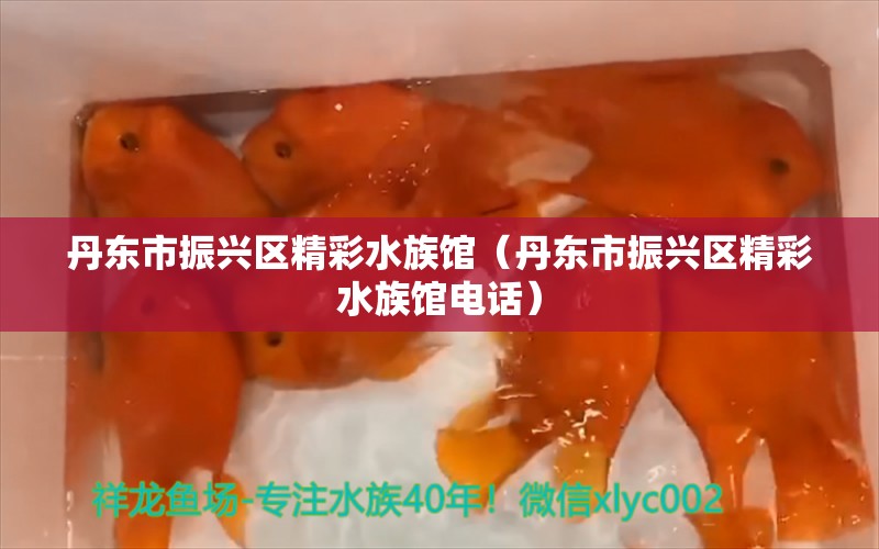 丹东市振兴区精彩水族馆（丹东市振兴区精彩水族馆电话） 全国水族馆企业名录