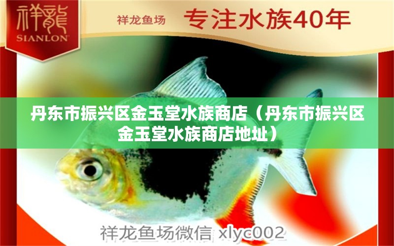 丹东市振兴区金玉堂水族商店（丹东市振兴区金玉堂水族商店地址）