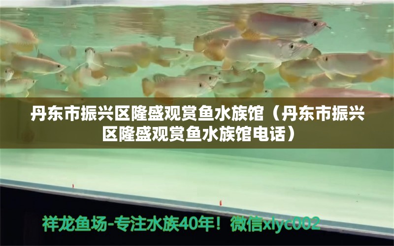 丹东市振兴区隆盛观赏鱼水族馆（丹东市振兴区隆盛观赏鱼水族馆电话）